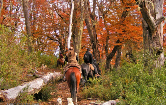 cabalgatas san martin de los andes 1