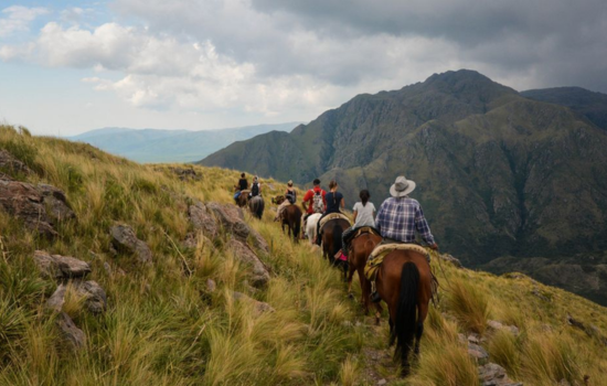 caballos salta