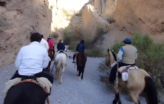 caballos san juan